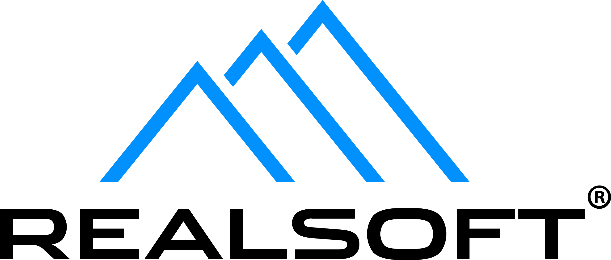 Realsoft logo